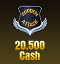 20.500 Cash