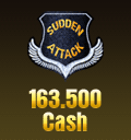 163.500 Cash